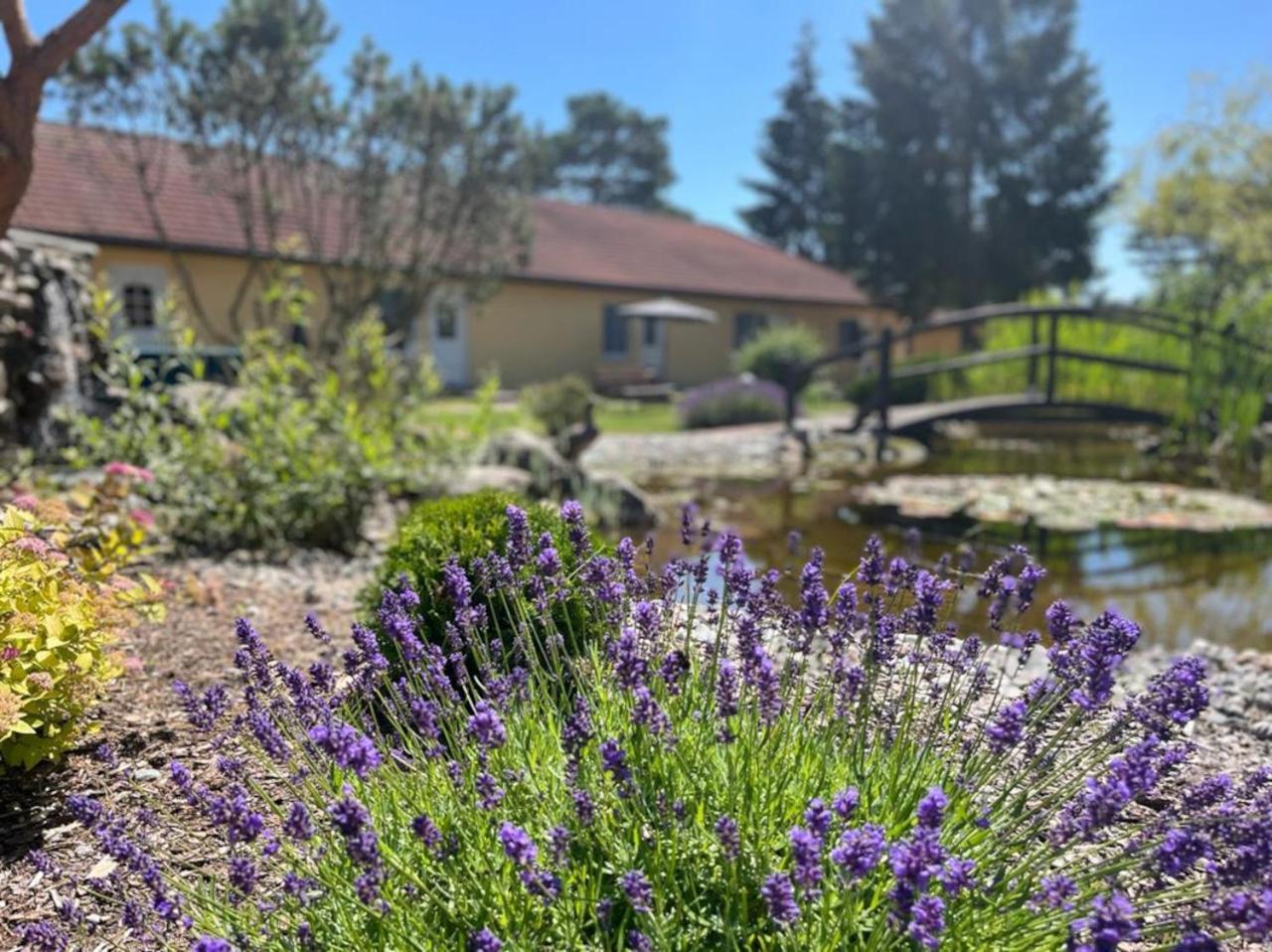 Hotel Pommerscher Hof Penzance Dış mekan fotoğraf